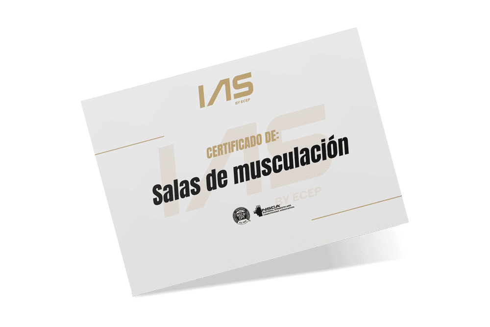 CERTIFICADO-salas-de-musculacion